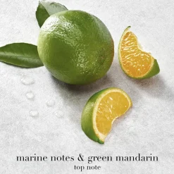 Acqua di Giò Eau de Parfum