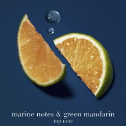 Acqua Di Giò Profondo Eau de Parfum