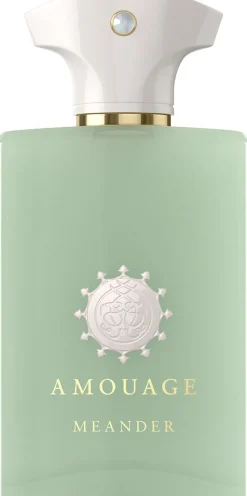 AMOUAGE MEANDER MAN EDP 100ML