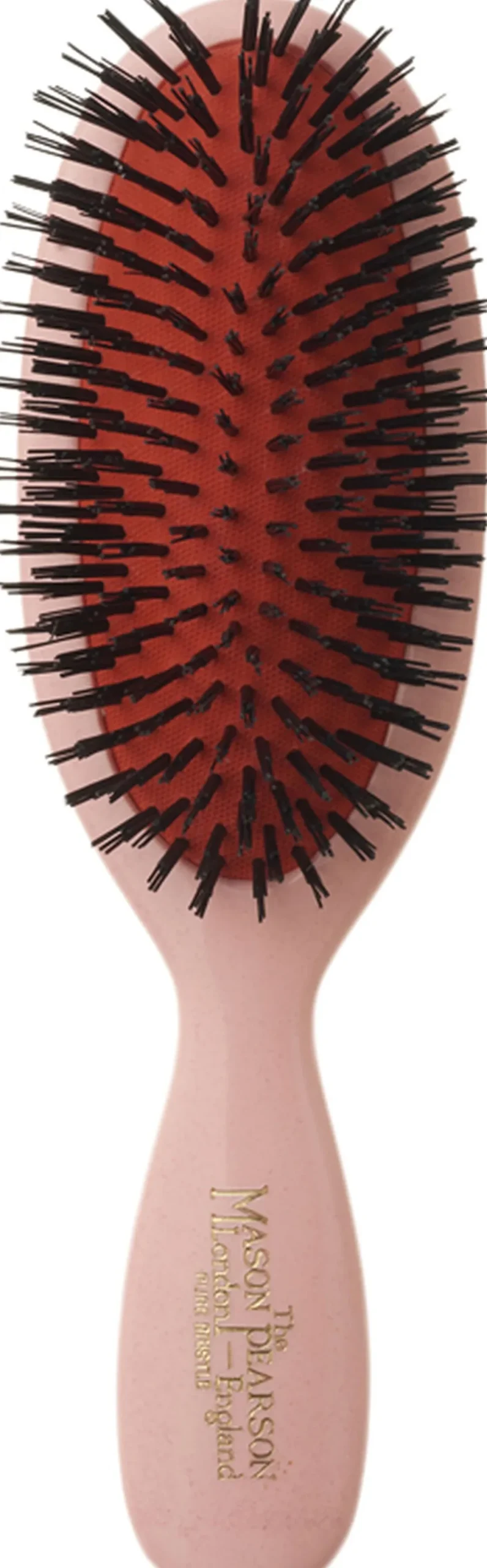 B4 - Pocket Bristle