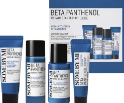 Beta Panthenol Repair Starter Kit