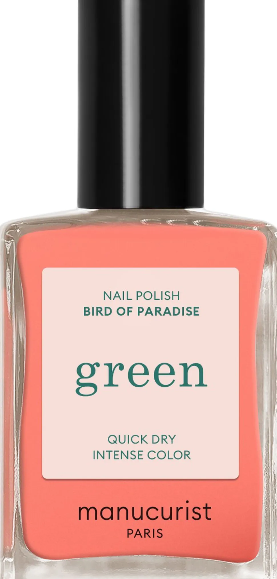 BIRD OF PARADISE