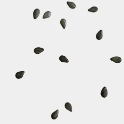 BLACK SESAME