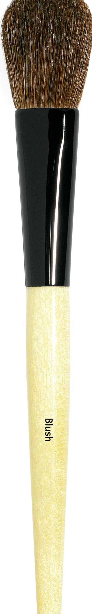 Blush Brush