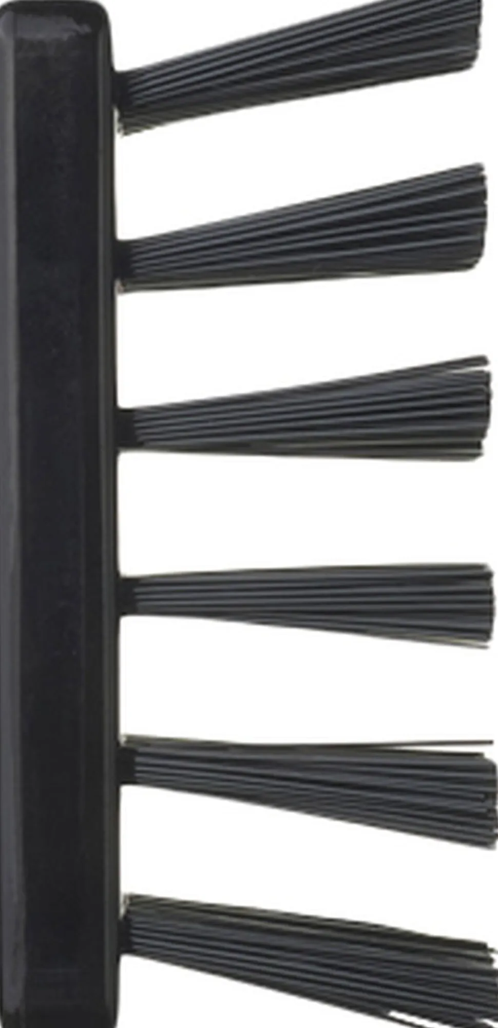 BN1 - Popular