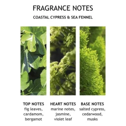 Coastal Cypress & Sea Fennel Fine Liquid Hand Wash
