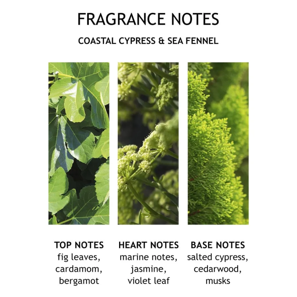 Coastal Cypress & Sea Fennel Fine Liquid Hand Wash