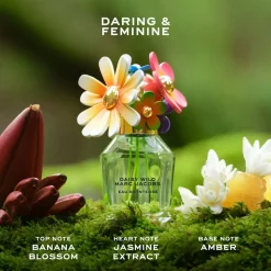 DAISY WILD INTENSE