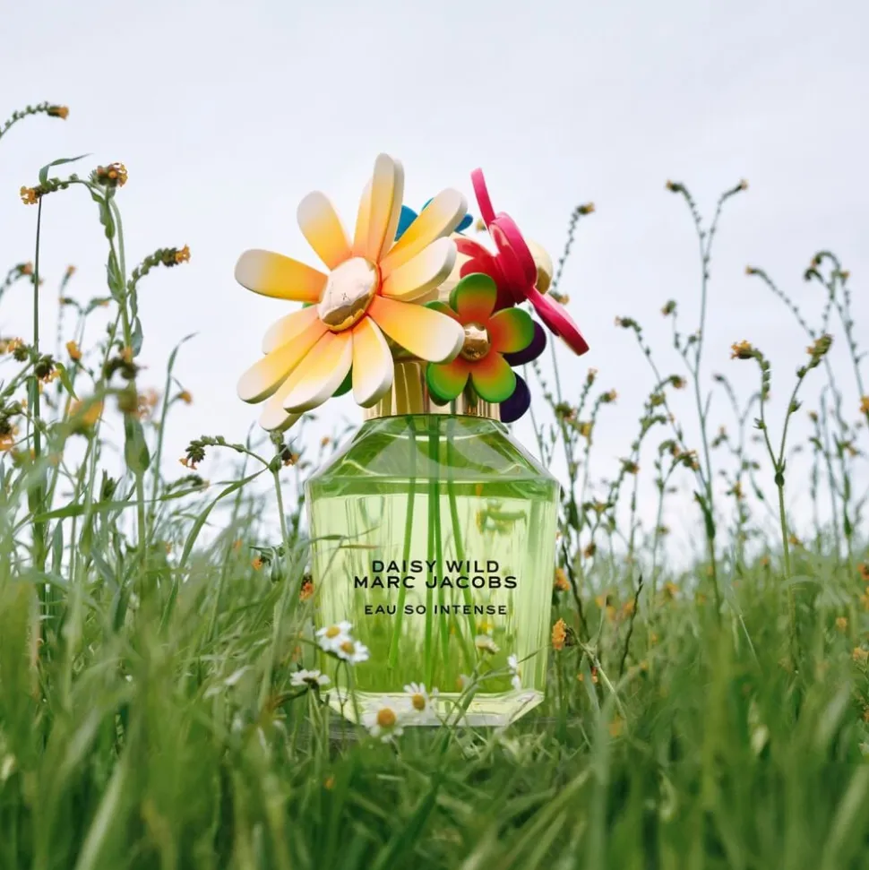 DAISY WILD INTENSE