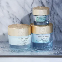 DayWear Anti-Oxidant Creme SPF 15