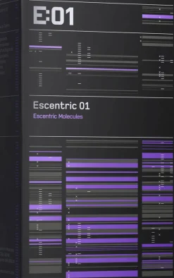 Escentric 01