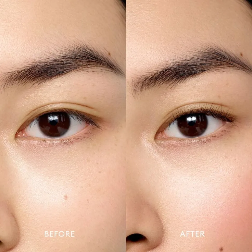 Eyelash Curler