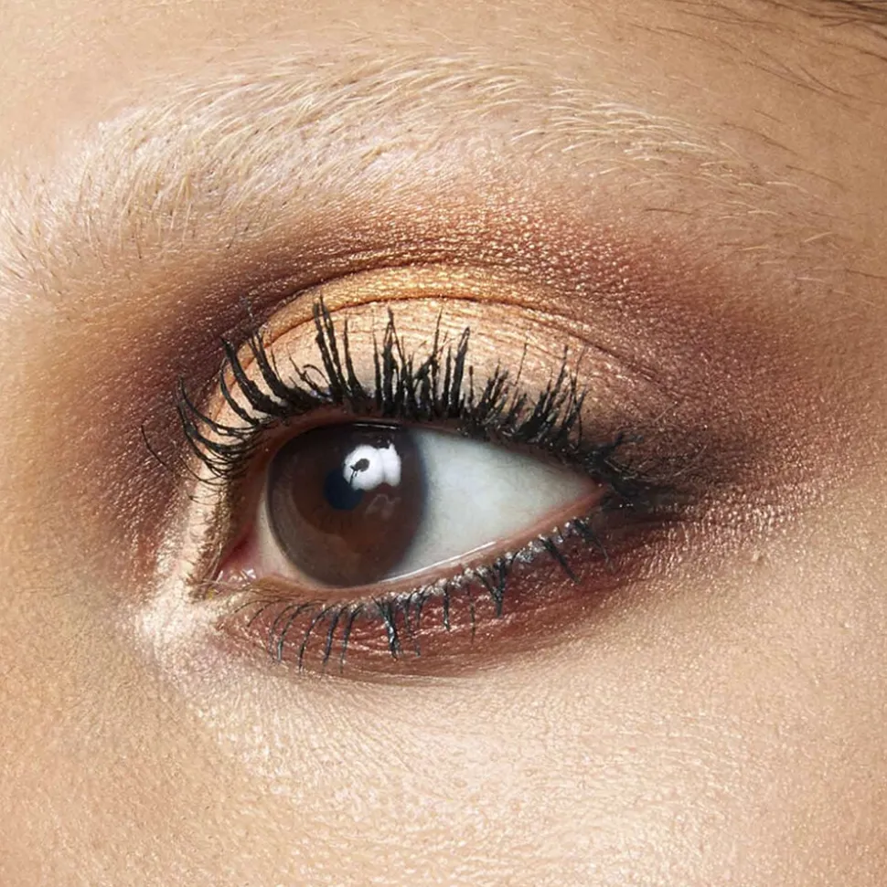 Eyeshadow 5 Colours