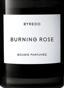 FC Burning Rose