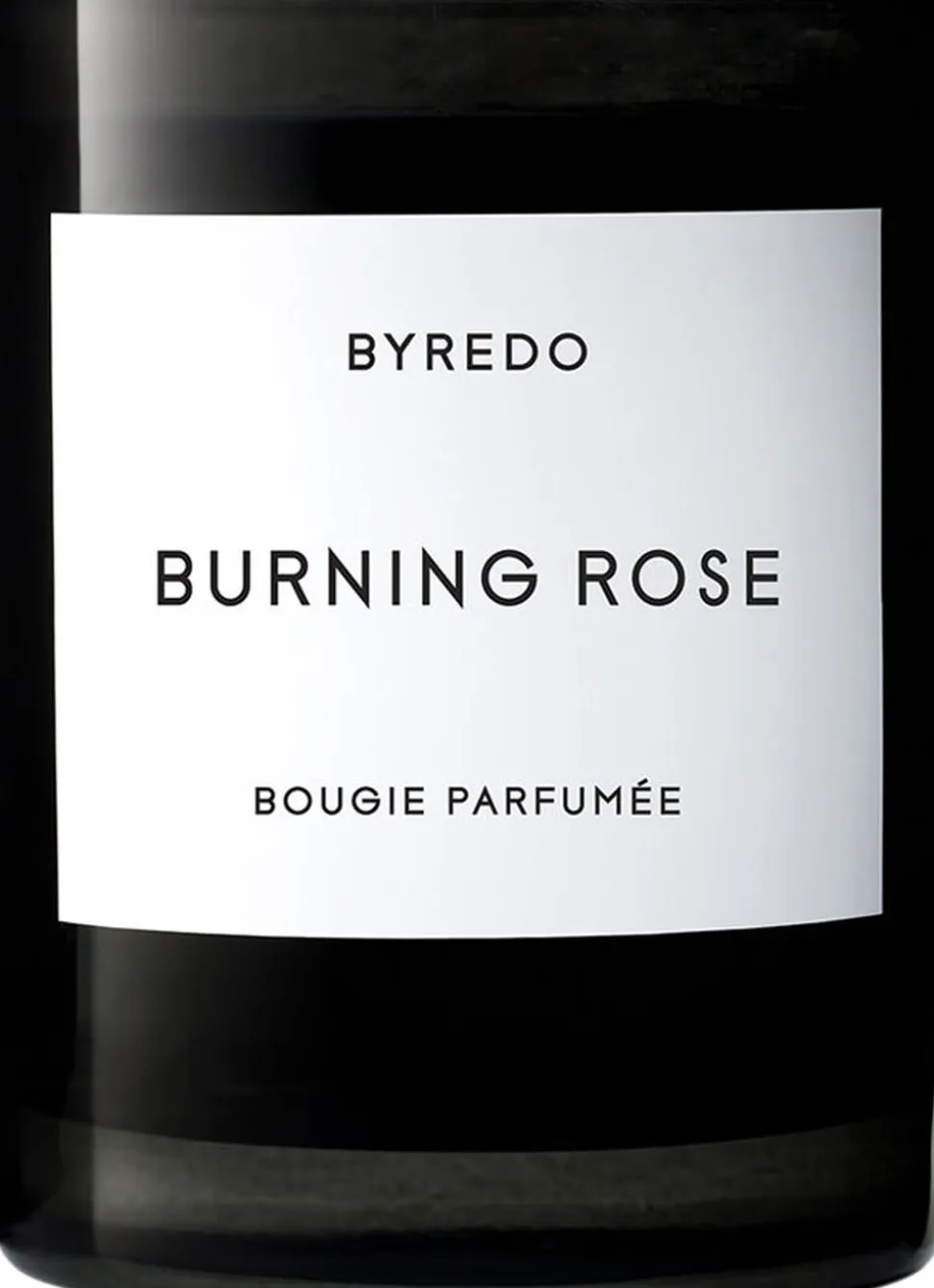 FC Burning Rose