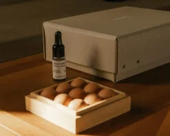 Gift Box: From Soil To Form Diffuser + Oil | Deep Forest