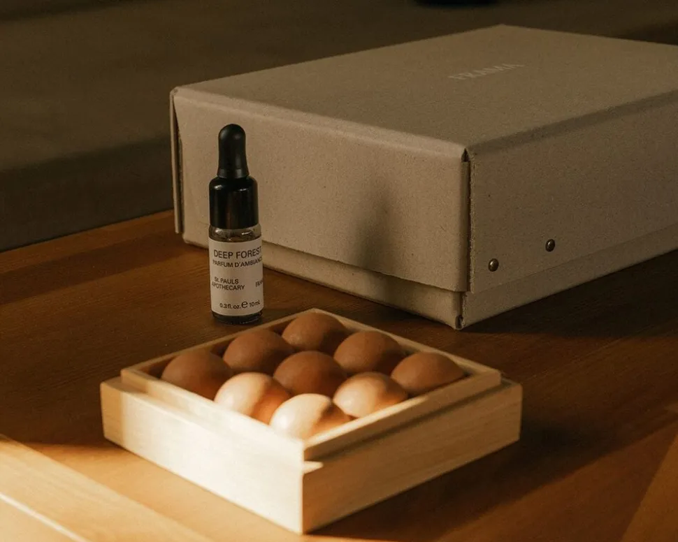 Gift Box: From Soil To Form Diffuser + Oil | Deep Forest