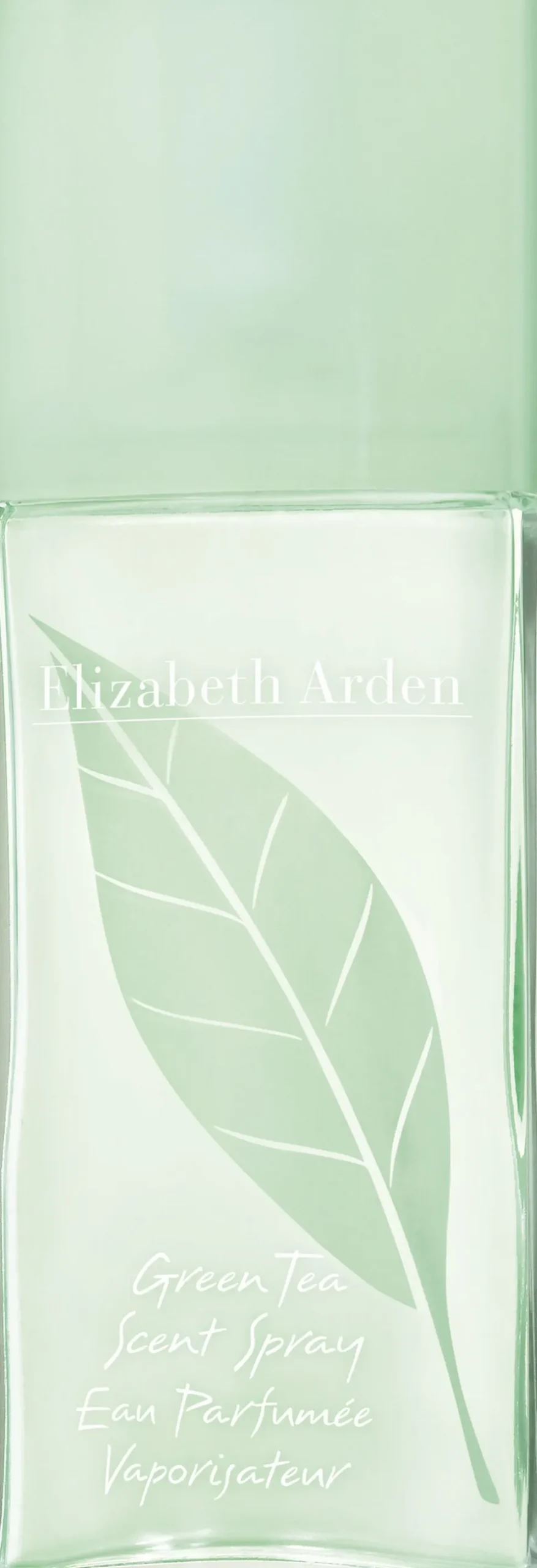 Green Tea Scent
