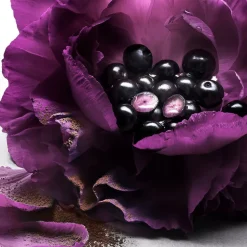 La Nuit Trésor Le Parfum