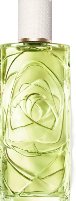 LC ODL OFF NOW EDT V100ml