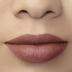 Lip Maestro