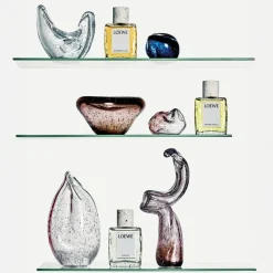 LOEWE Crafted Collection Iris Root Eau de Parfum 100 ml