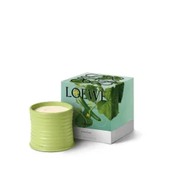 LOEWE Cucumber Candle