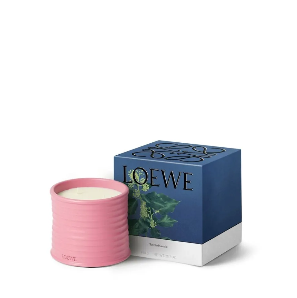 LOEWE Ivy Candle