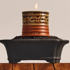 LOEWE Mimosa Candle Small