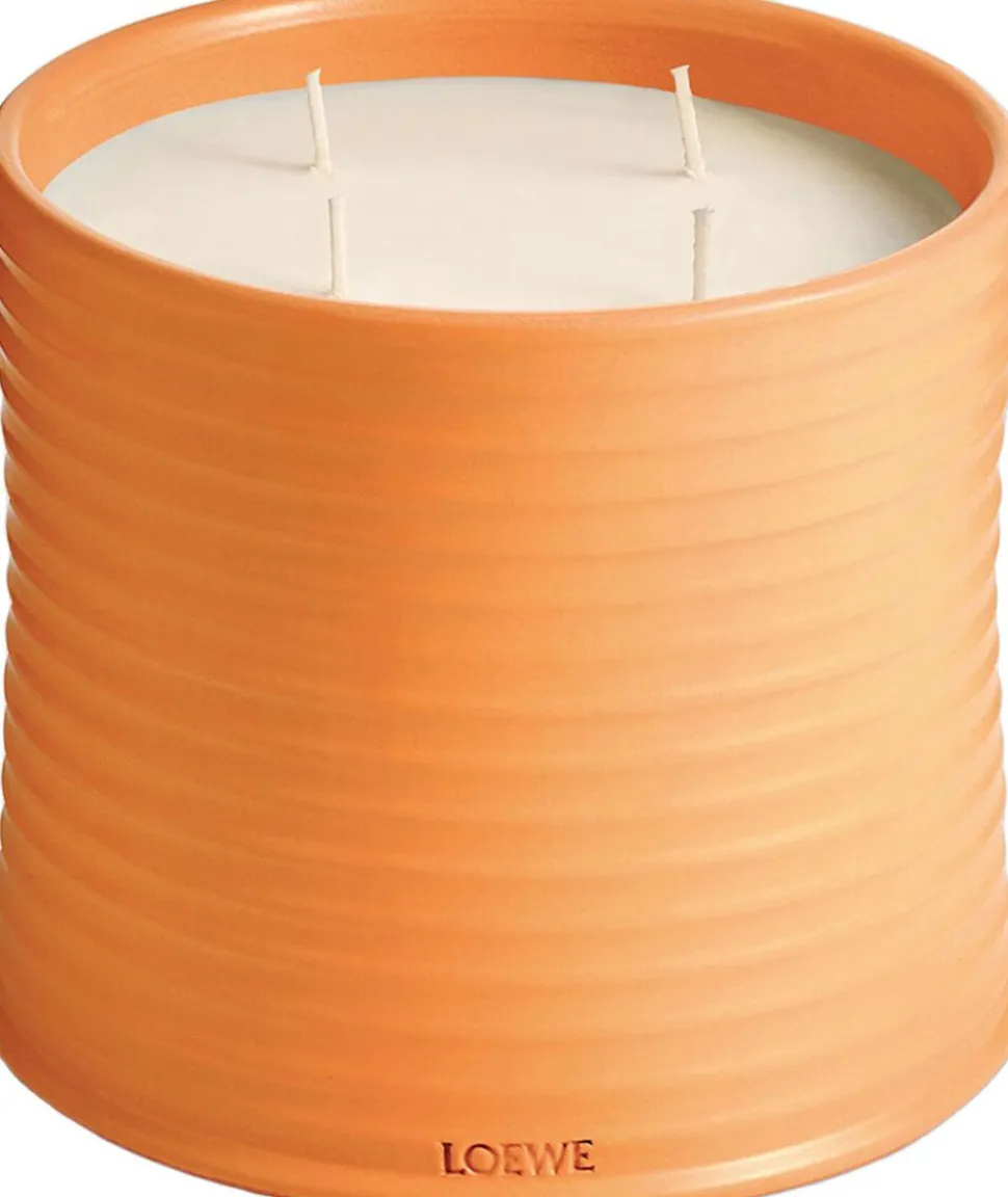 LOEWE Orange Blossom Candle