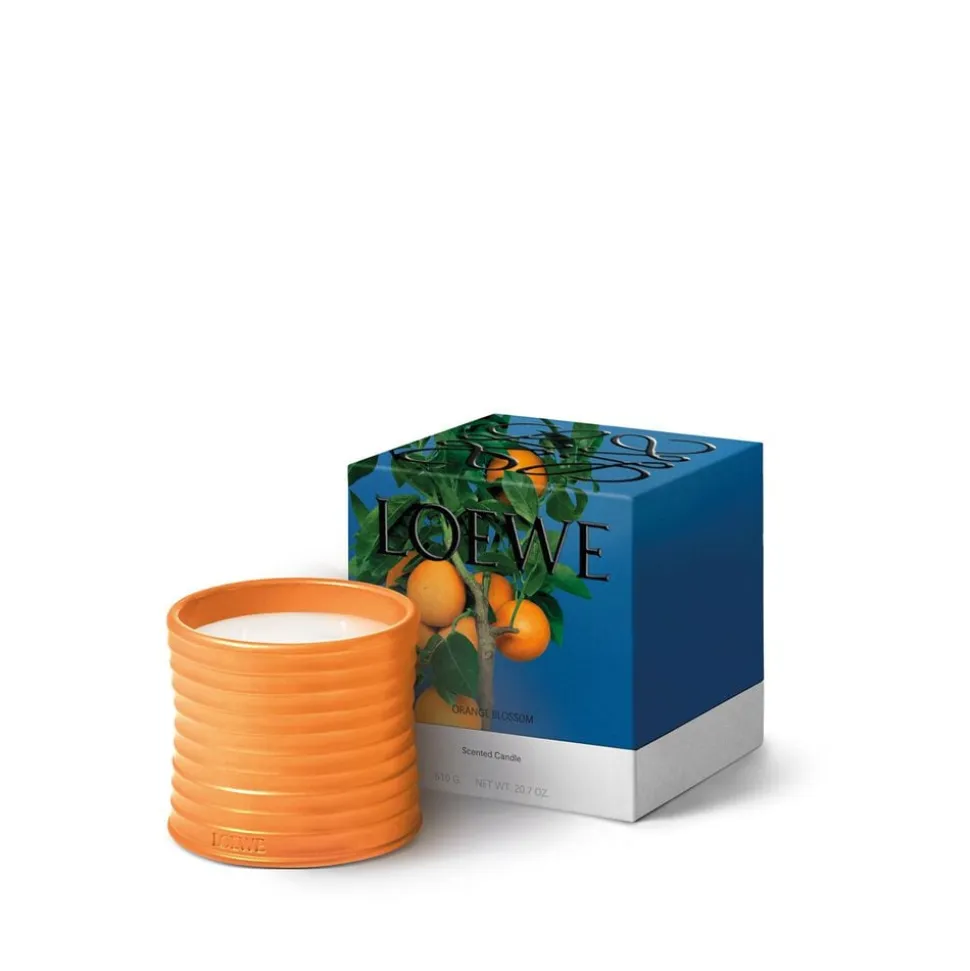 LOEWE Orange Blossom Candle