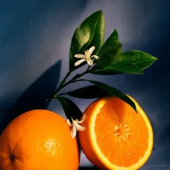LOEWE Orange Blossom Candle