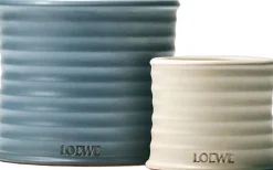 LOEWE Oregano Candle
