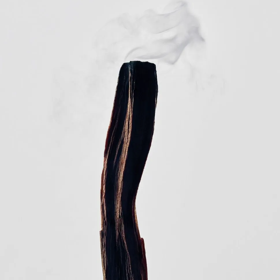 LOEWE Palo Santo Candle