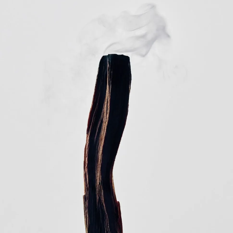 LOEWE Palo Santo Candle