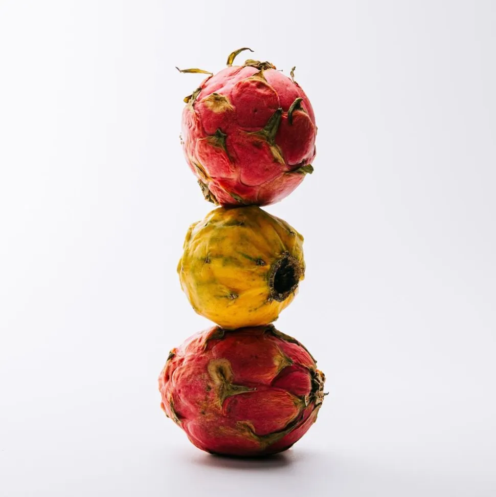 LOEWE Solo Ella Eau de Toilette