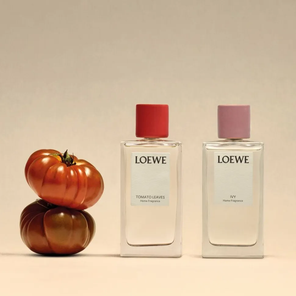LOEWE Tomato Leaves Room Spray 150 ml
