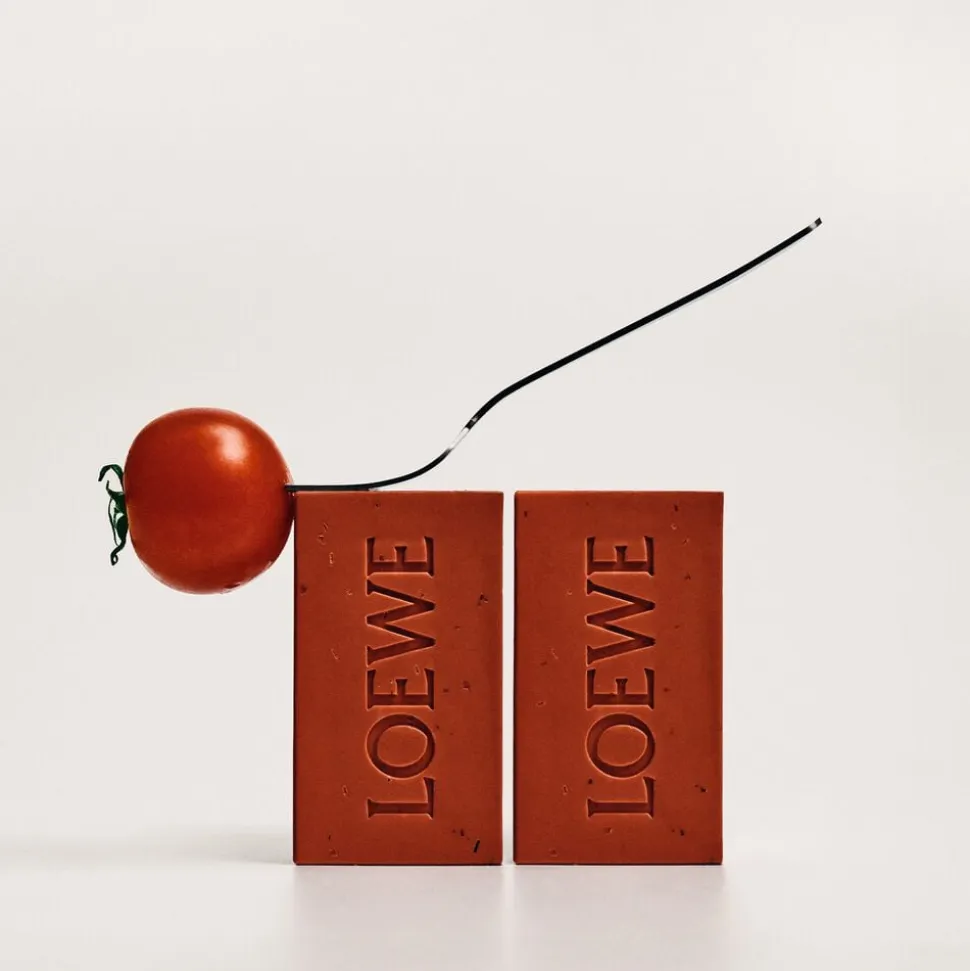 LOEWE Tomato Leaves Solid Soap