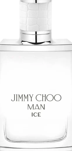 Man Ice Eau De Toilette