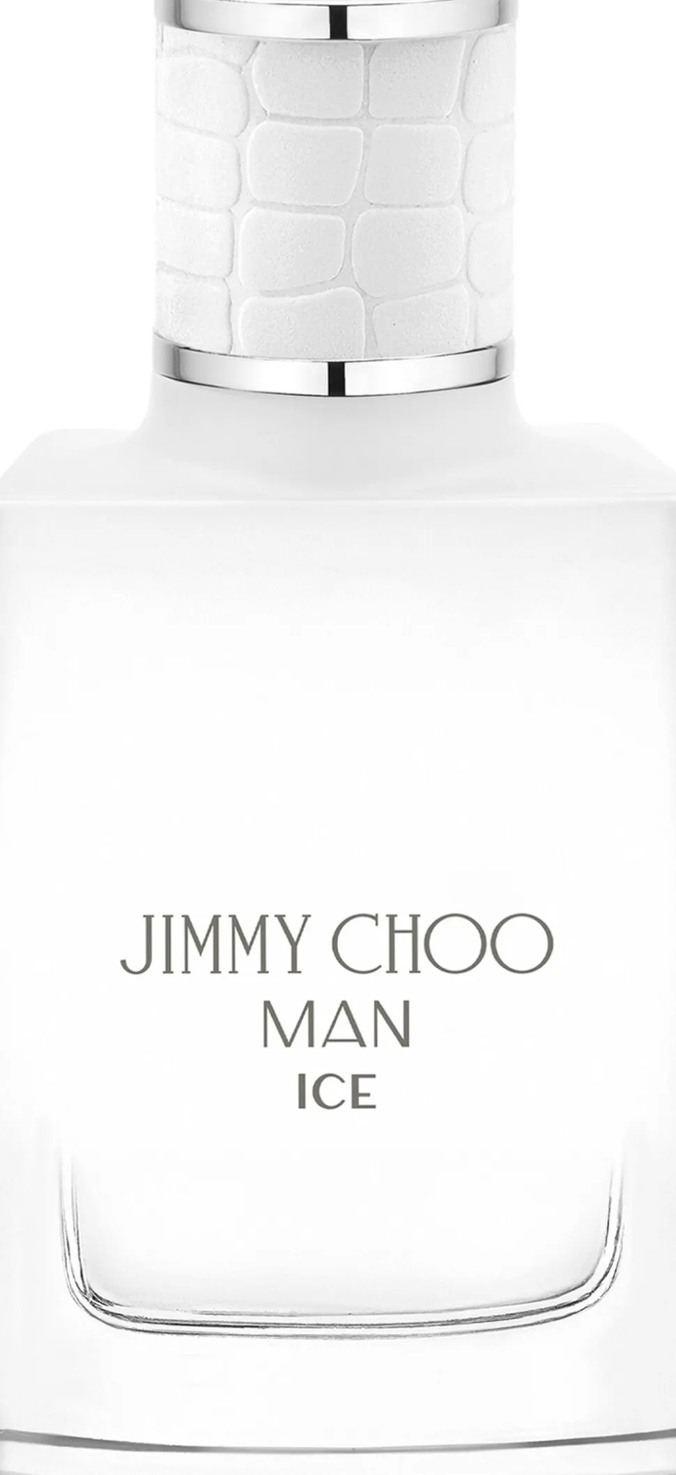 Man Ice Eau De Toilette