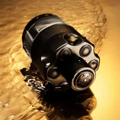 Most Wanted Intense