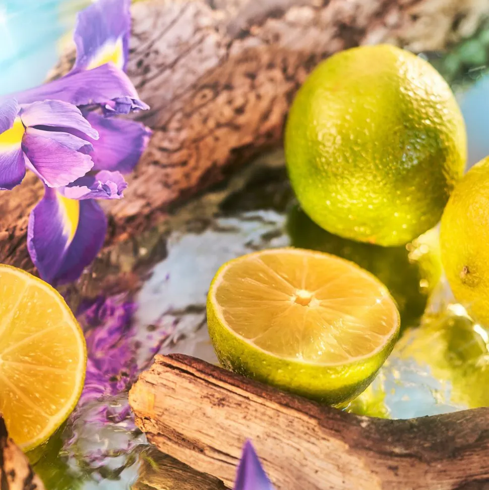 OCEANIA PARFUM 50 ML
