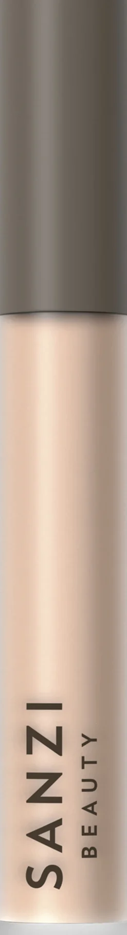 Perfecting Concealer