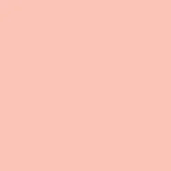Radiant - Creamy Concealer