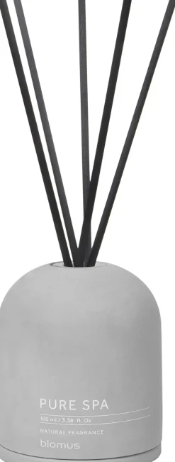 Room Fragrance Set -FRAGA- Micro Chip