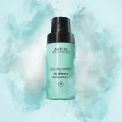 Shampowder Dry Shampoo