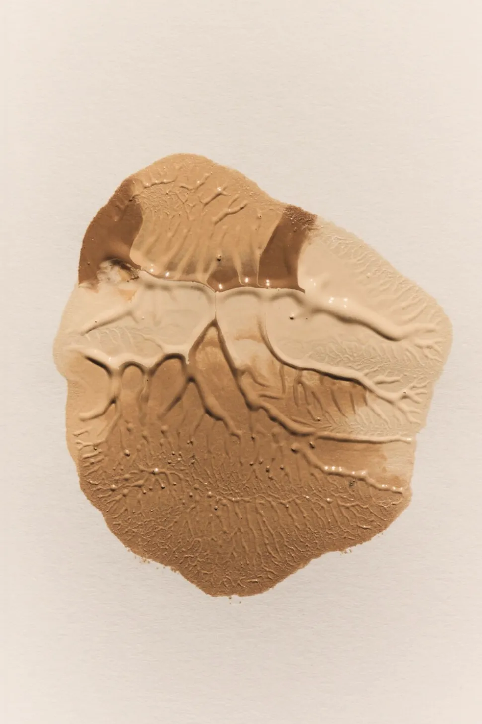 Skin Light - Natural Liquid Foundation