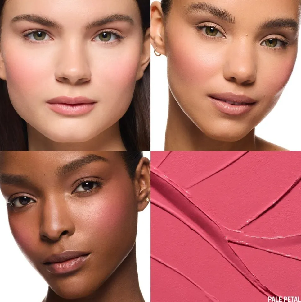 SOFT POP BLUSH STICK PLUMBERRY