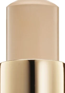 Teint Idole Ultra Wear Stick