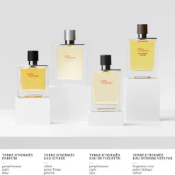 TERRE D'HERMÈS EDT REFILL 125 ML